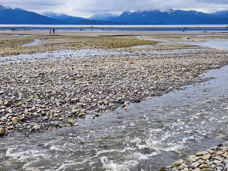 beach at low tide